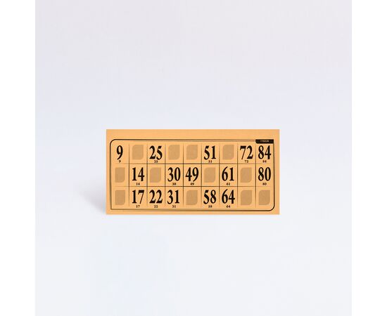 Lottokarten 14,5 x 7,2 cm - plastifiziert (100 Stück), Modell 6001 / Cartons de loto 14,5 x 7,2 cm - plastifiés (100 pièces), modèle 6001