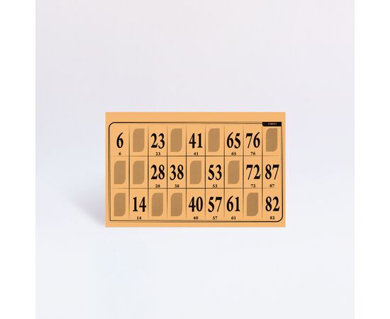 Lottokarten Grossformat 19,2 x 9,6 cm (100 Stück), Modell 6008 / Cartons de loto grand format 19,2 x 9,6 cm (100 pièces), modèle 6008
