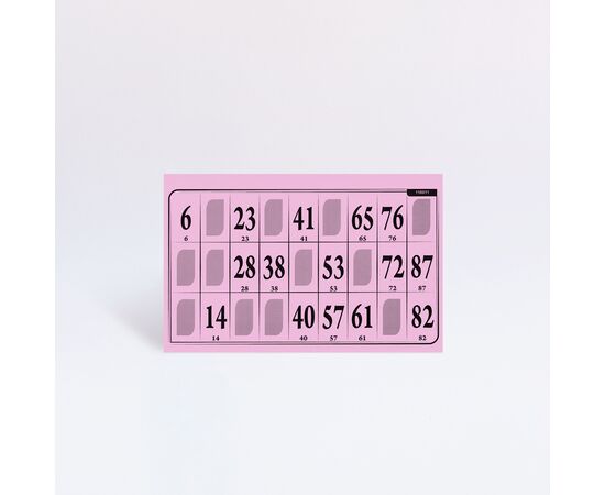 Lottokarten Grossformat 19,2 x 9,6 cm (100 Stück), Modell 6008 / Cartons de loto grand format 19,2 x 9,6 cm (100 pièces), modèle 6008